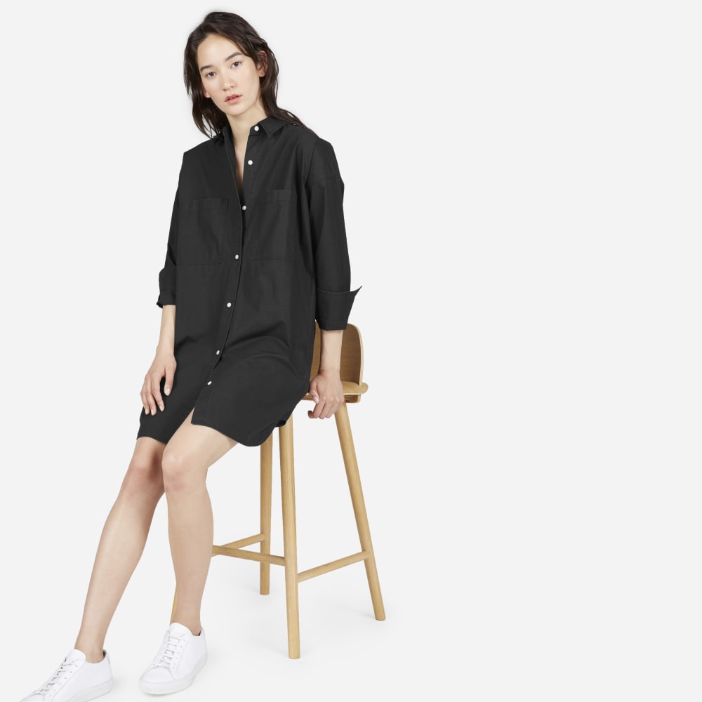 everlane sweatshirt dress