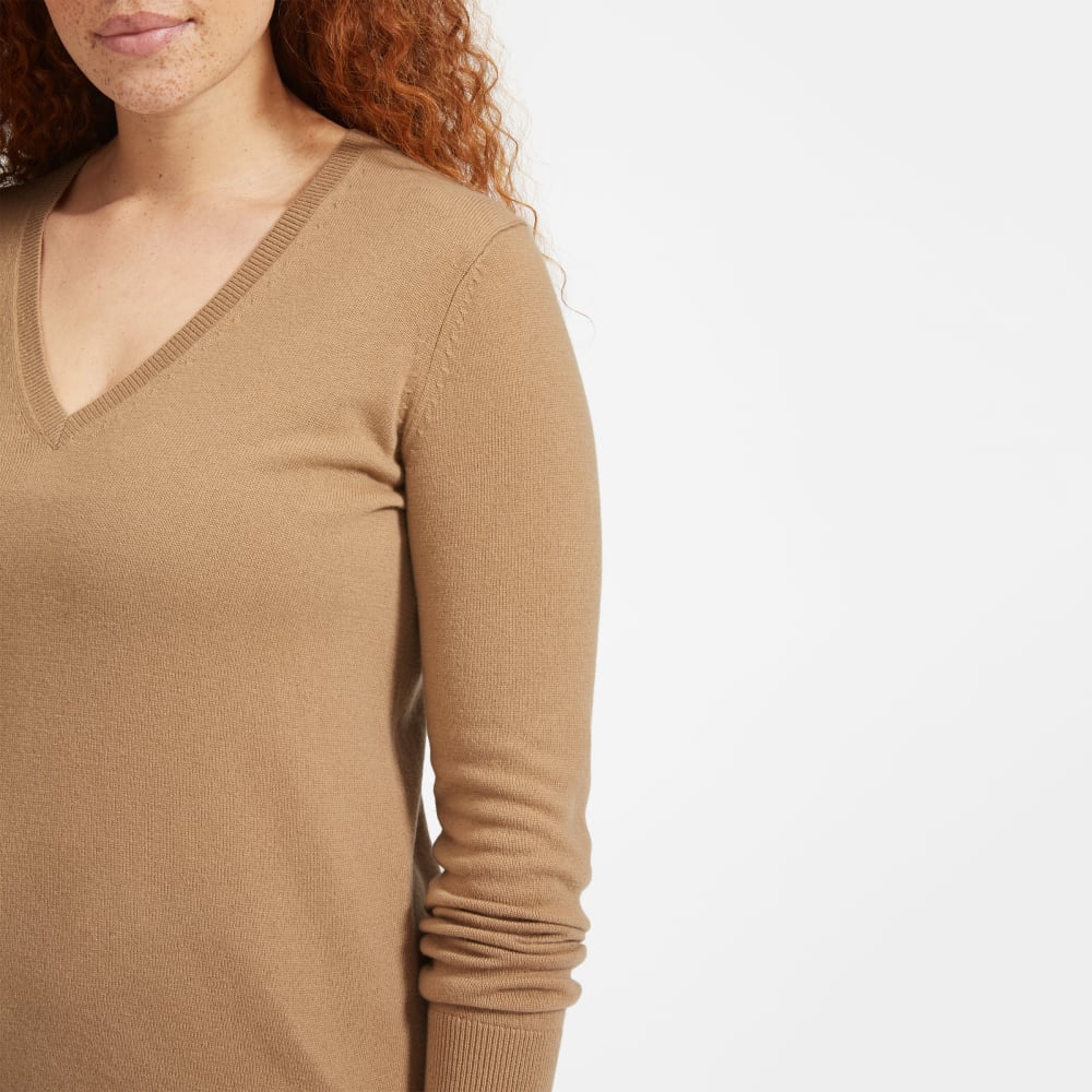 The Cashmere V Neck Everlane