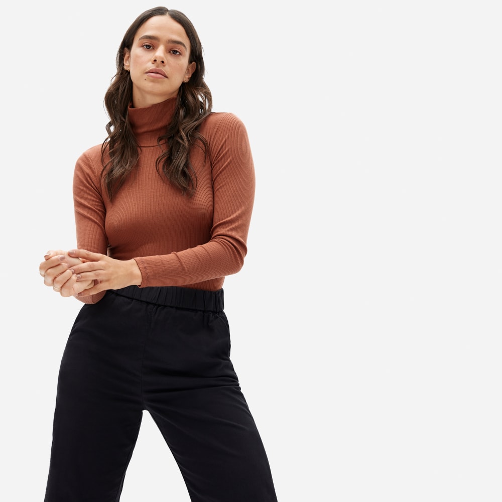The Super Soft Turtleneck Bodysuit Everlane