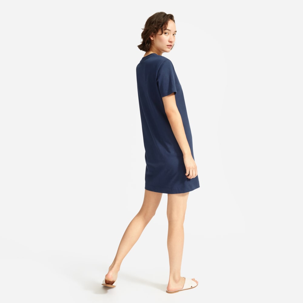 everlane t shirt dress