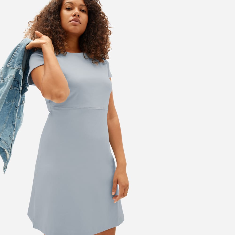 everlane shift dress