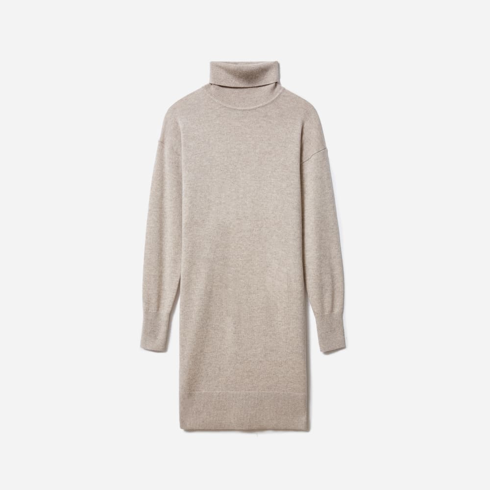 everlane cashmere turtleneck dress