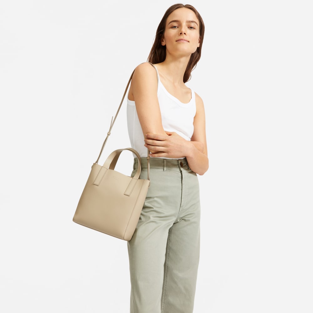 everlane day tote mini