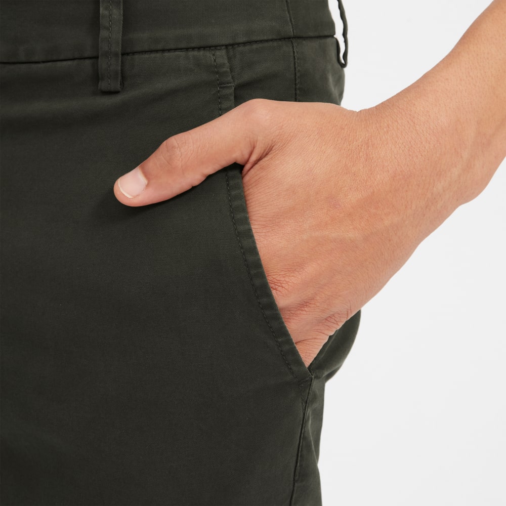 everlane midweight slim chino