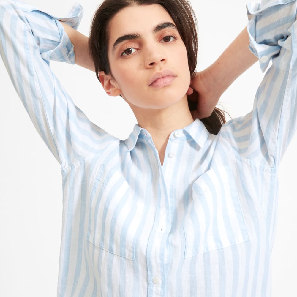 everlane linen shirt dress