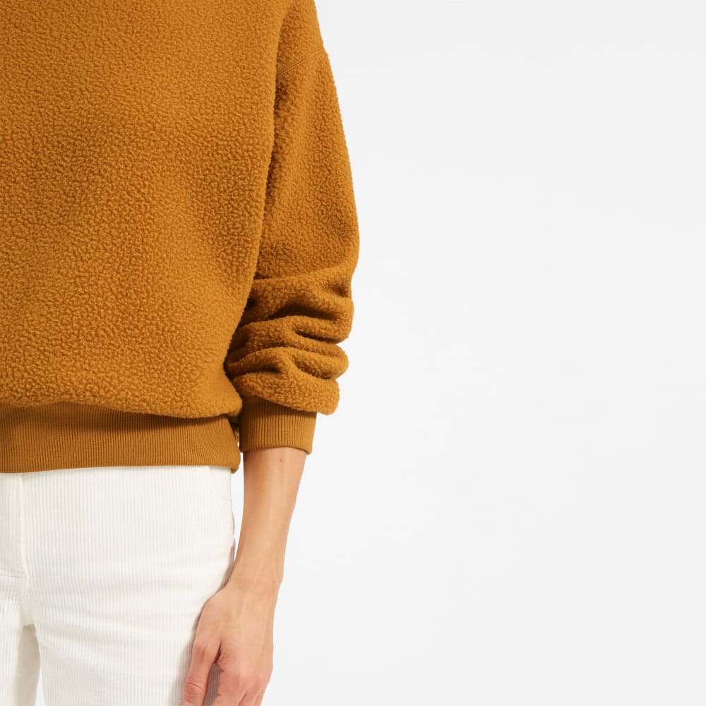 everlane oversized hoodie