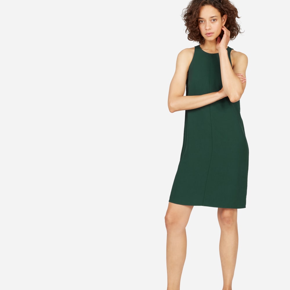 everlane japanese goweave dress