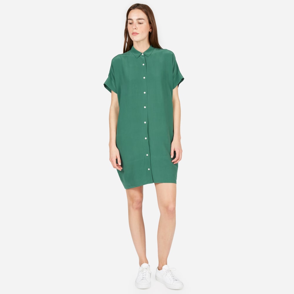 everlane silk dress