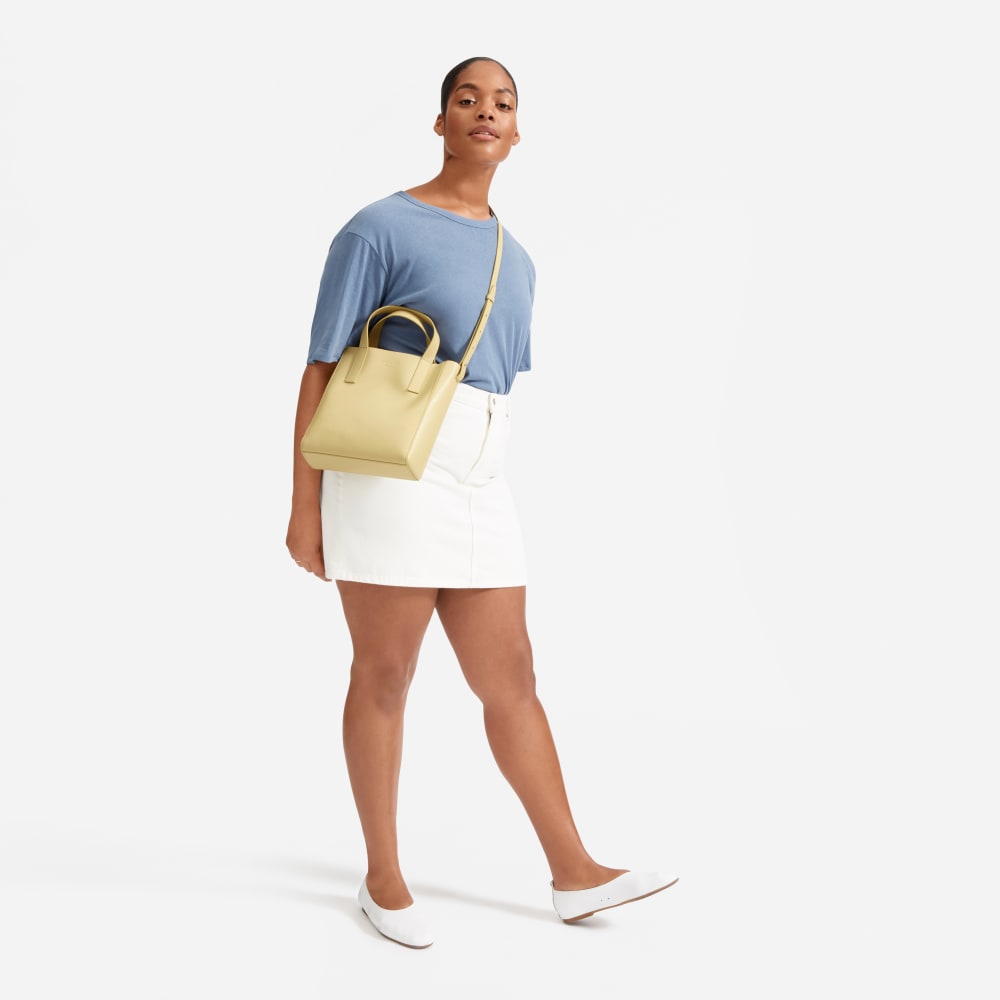 everlane day tote mini