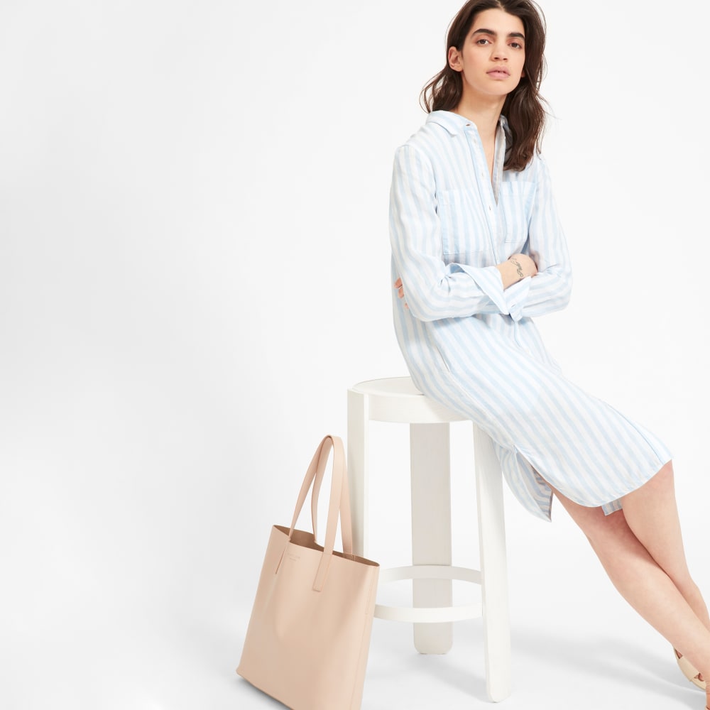 everlane linen shirt dress