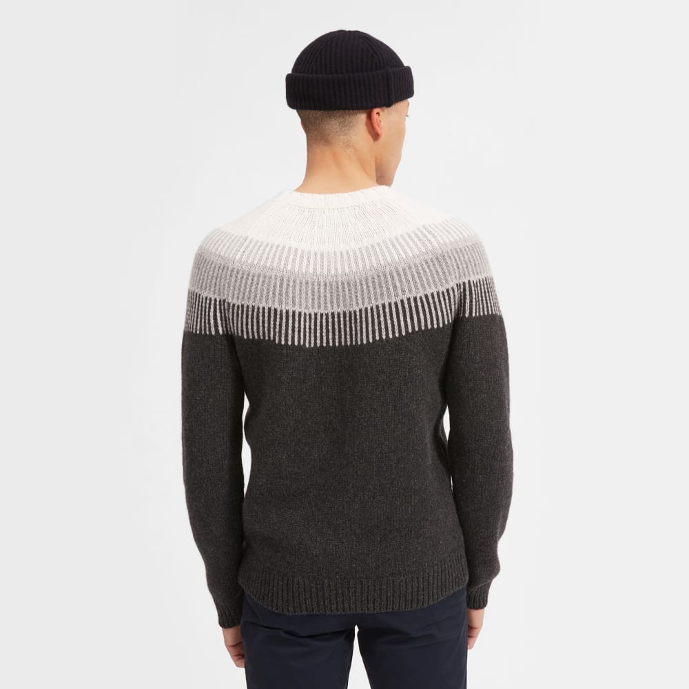 everlane merino ski sweater