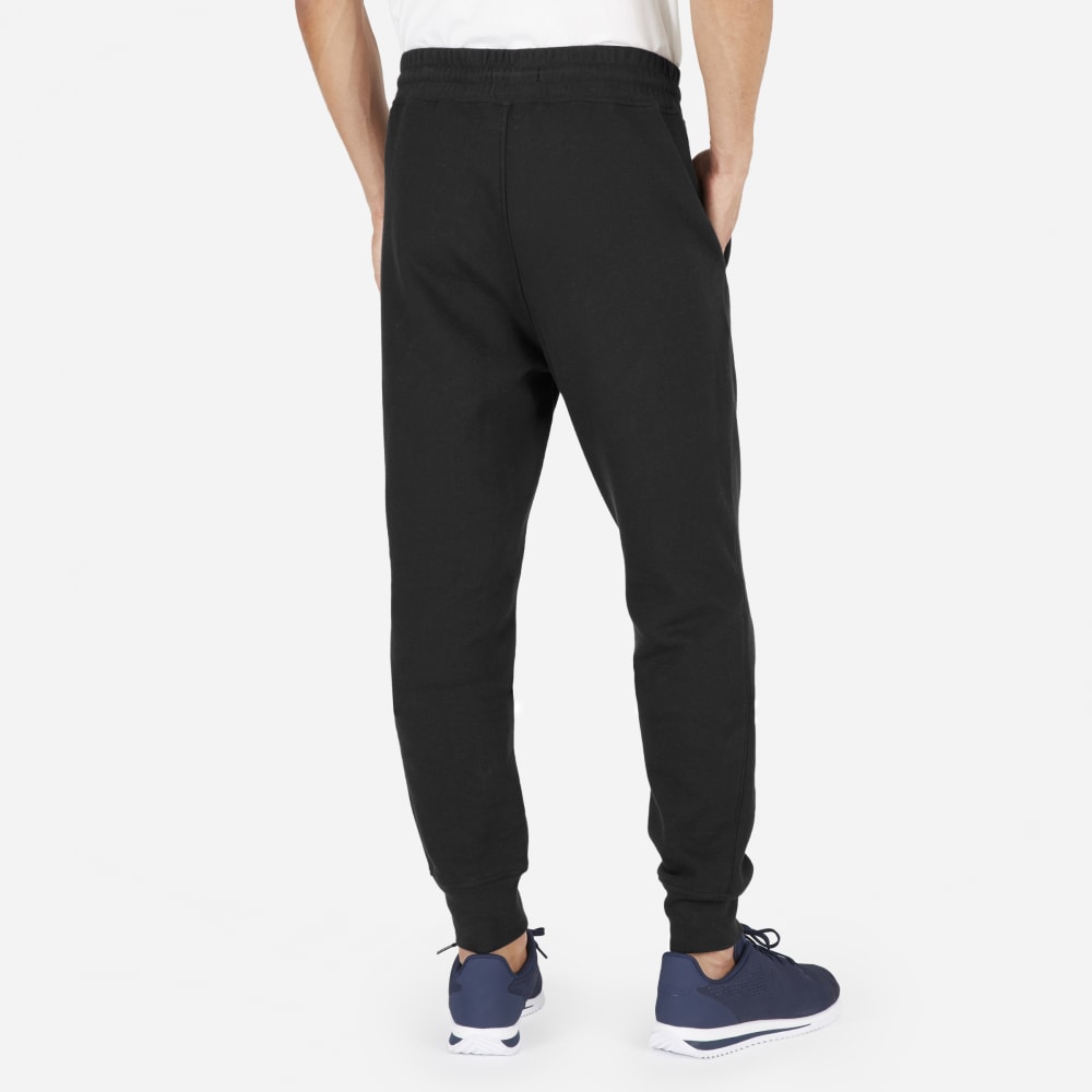 everlane mens joggers