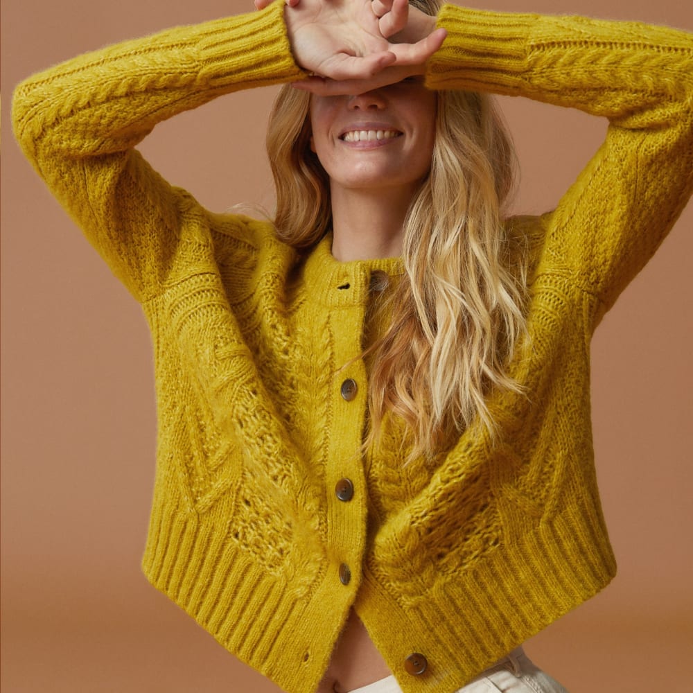 everlane wool cardigan