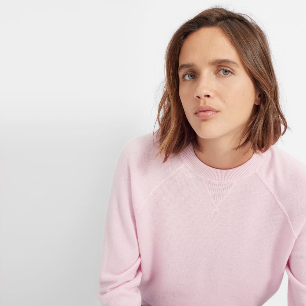 everlane cashmere sweater