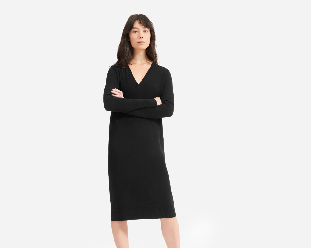 everlane turtleneck dress