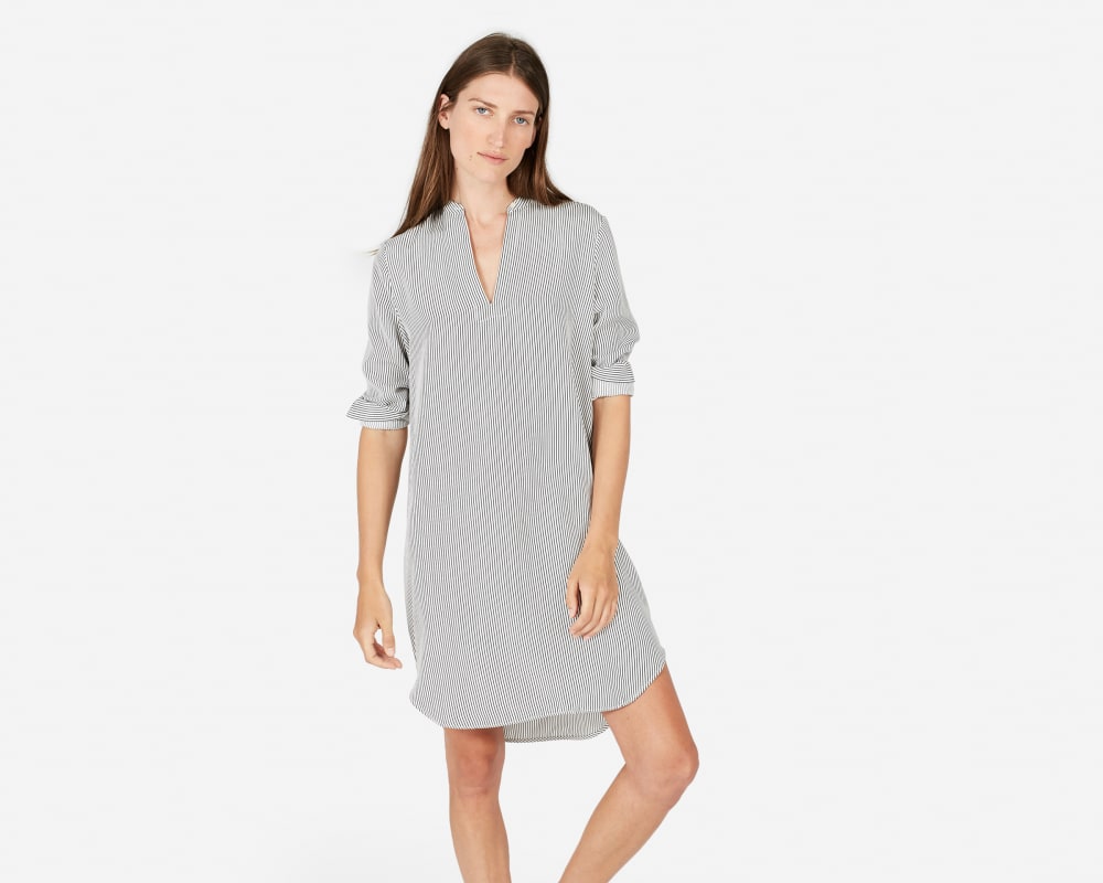 everlane silk dress