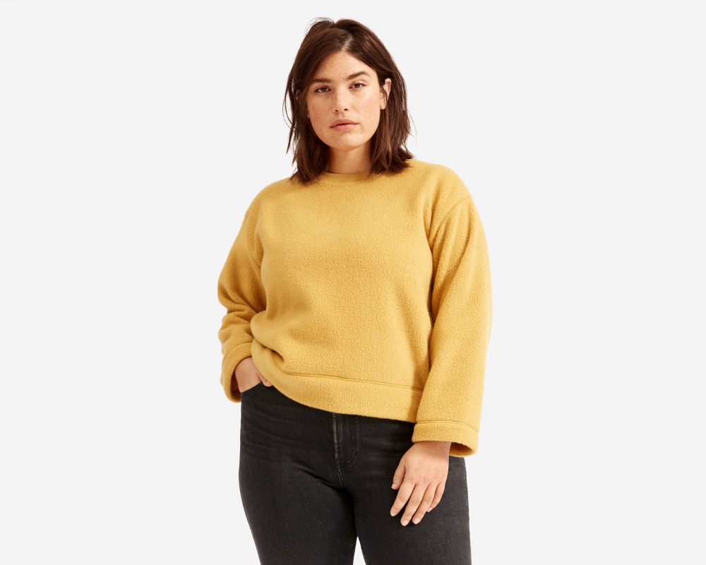 Renew fleece sweatshirt everlane hot sale