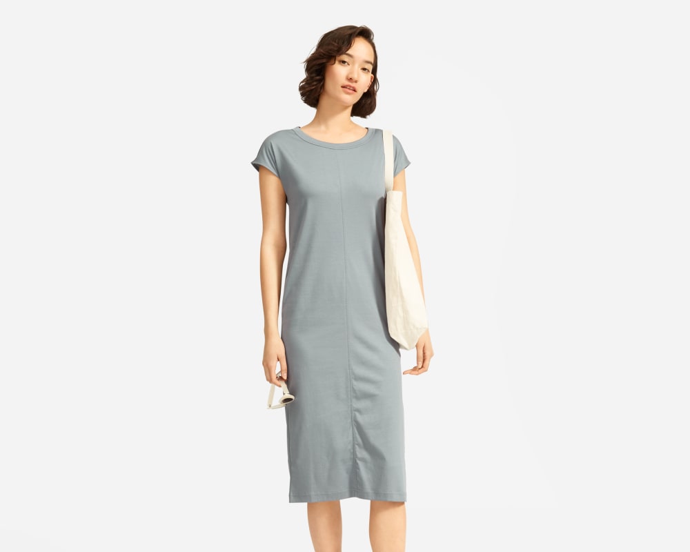 everlane luxe cotton dress