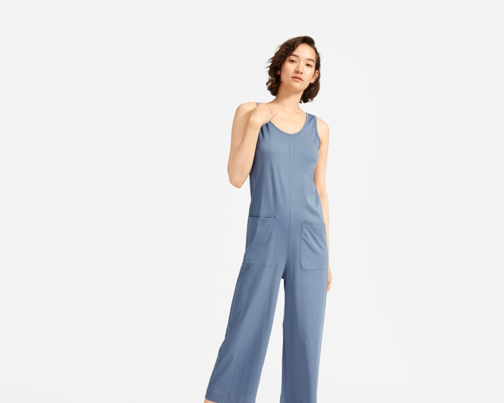 everlane luxe cotton dress