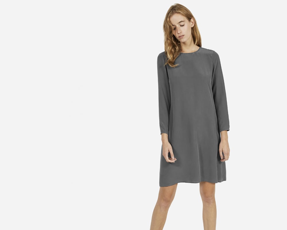 everlane silk dress