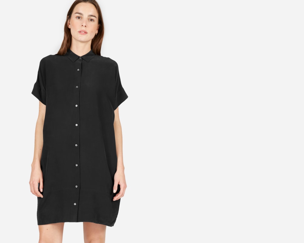 everlane silk dress