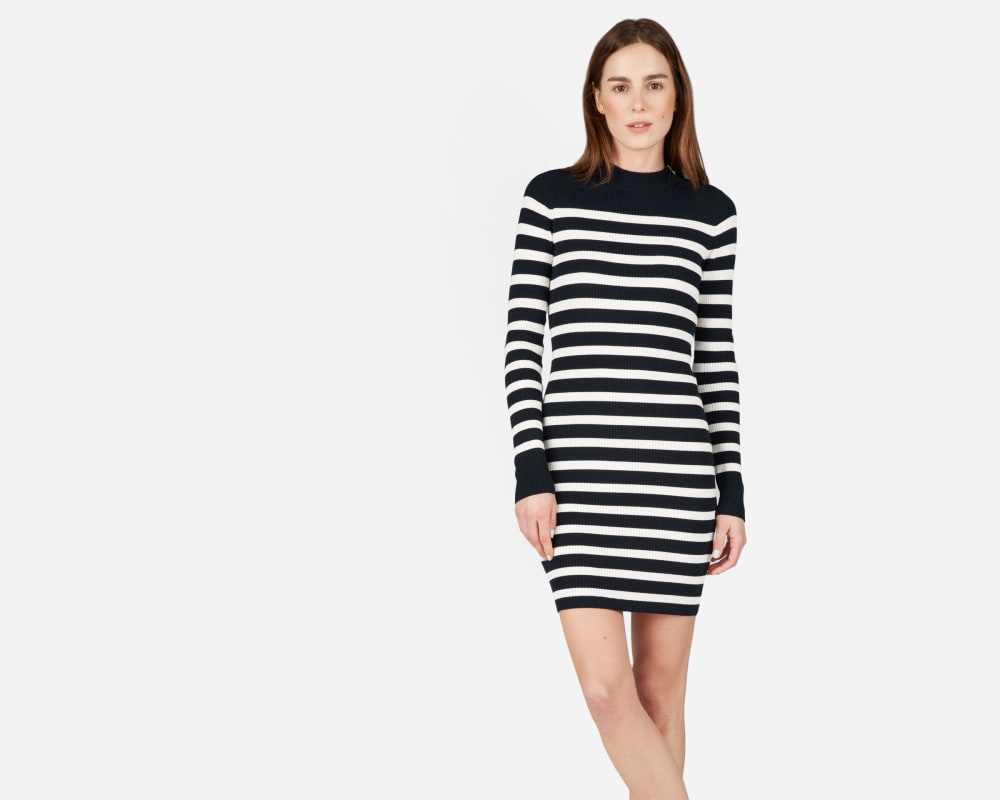 everlane sweater dress