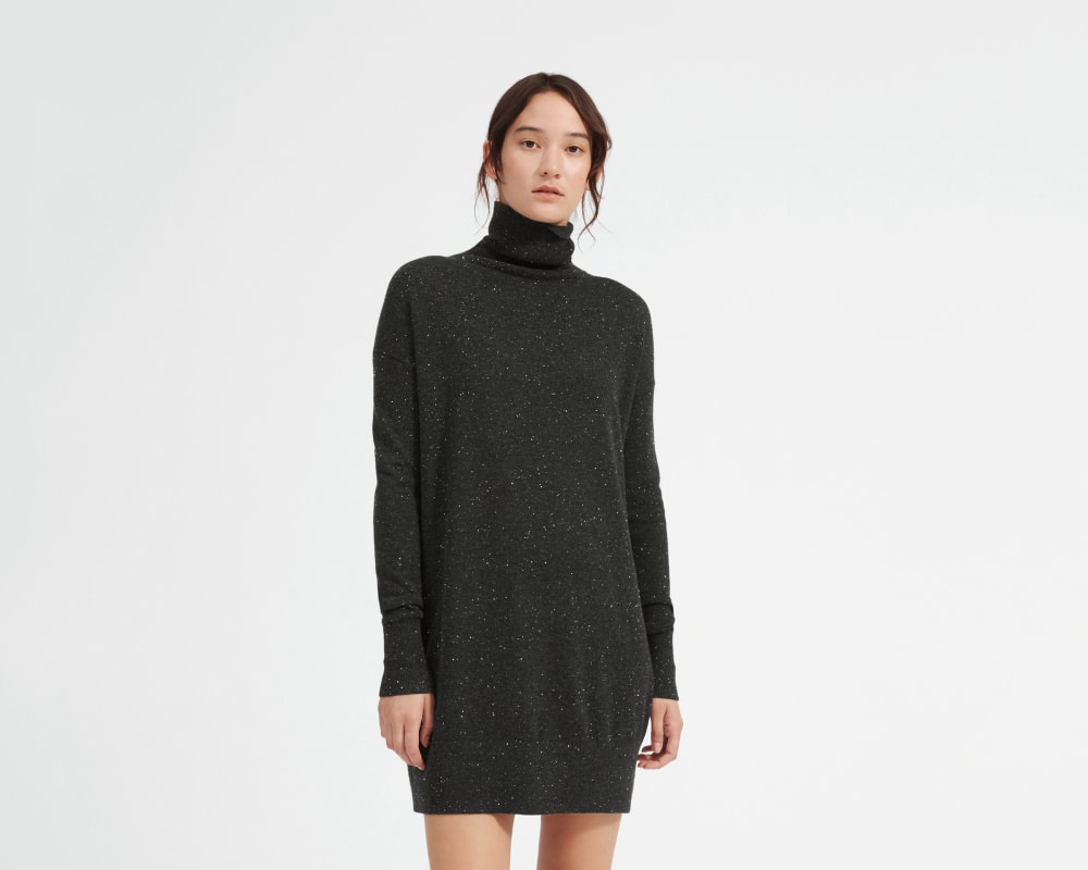 everlane cashmere turtleneck dress