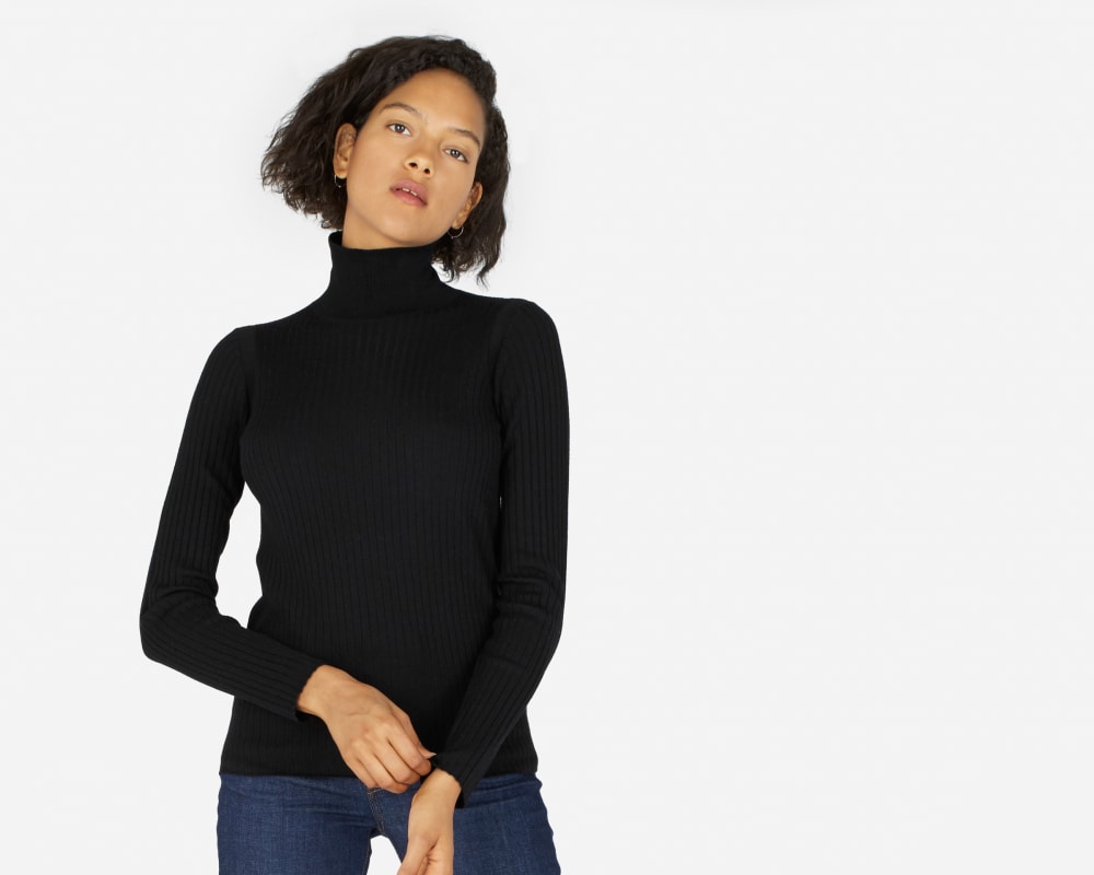 Everlane luxe wool square turtleneck discount