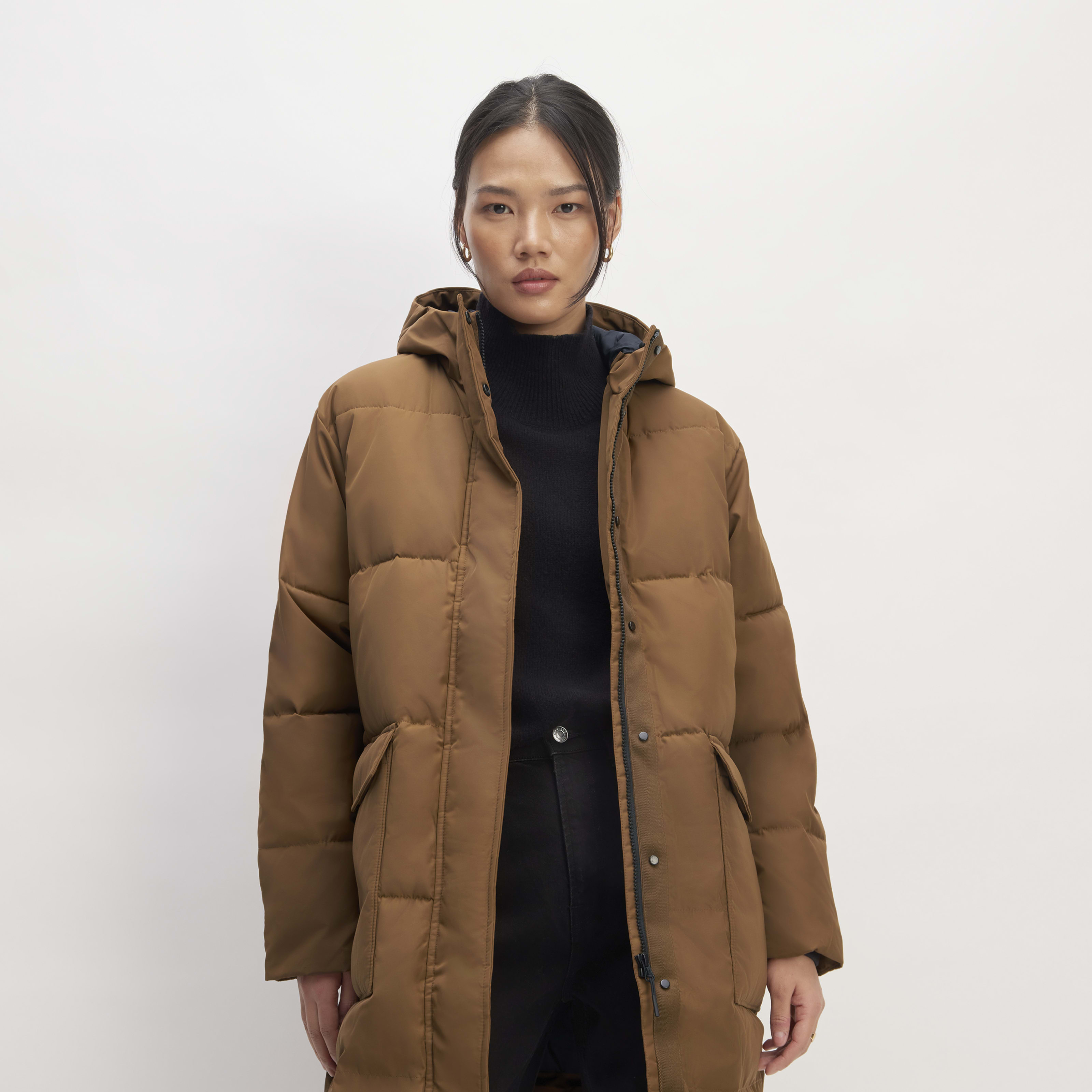women's renew long puffer coat by everlane in chestnut, size xxs