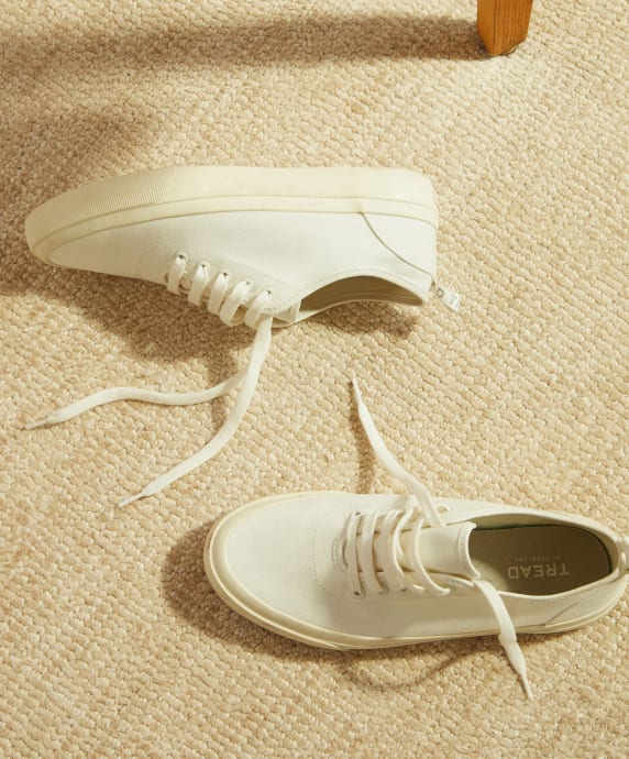 everlane forever platform sneaker