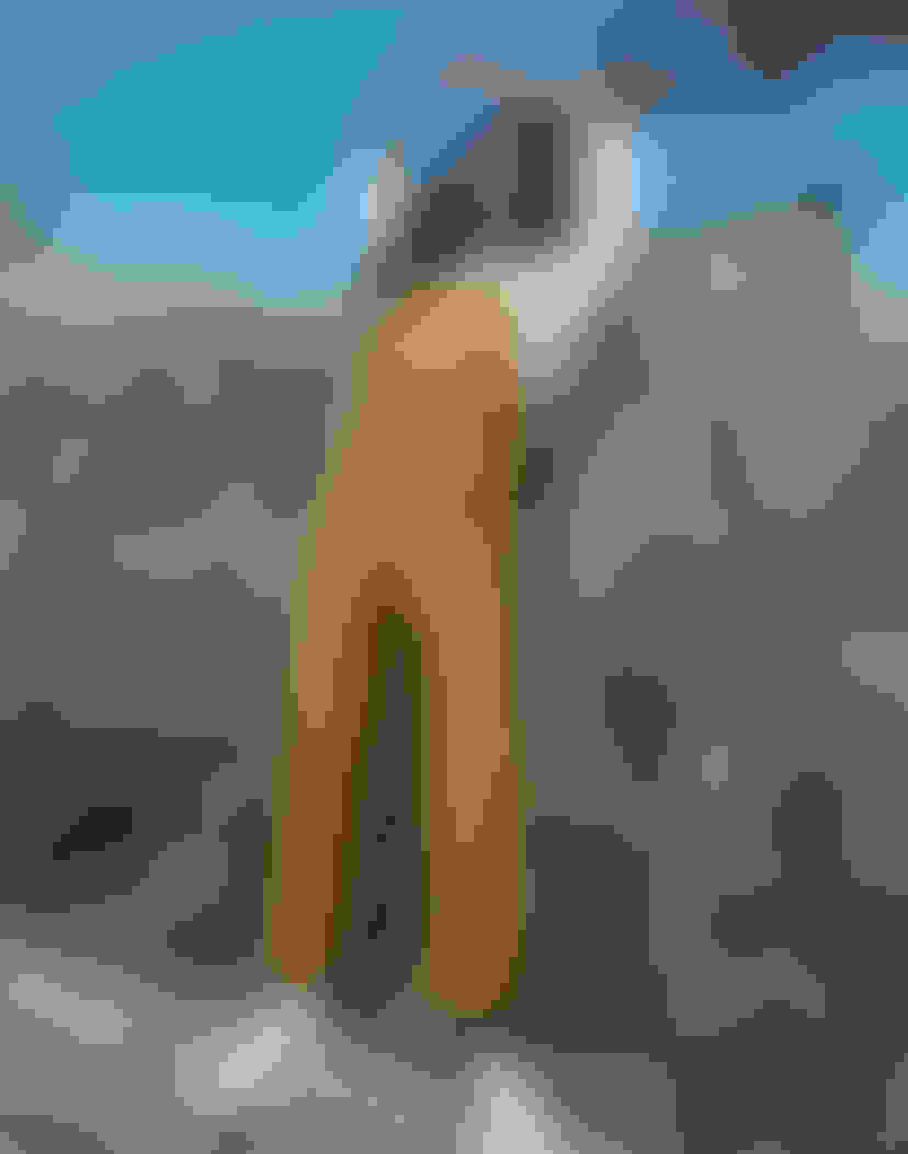 everlane modern point