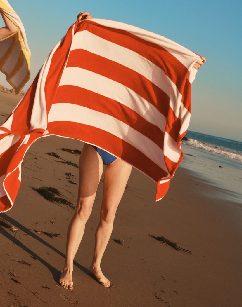 everlane modern point