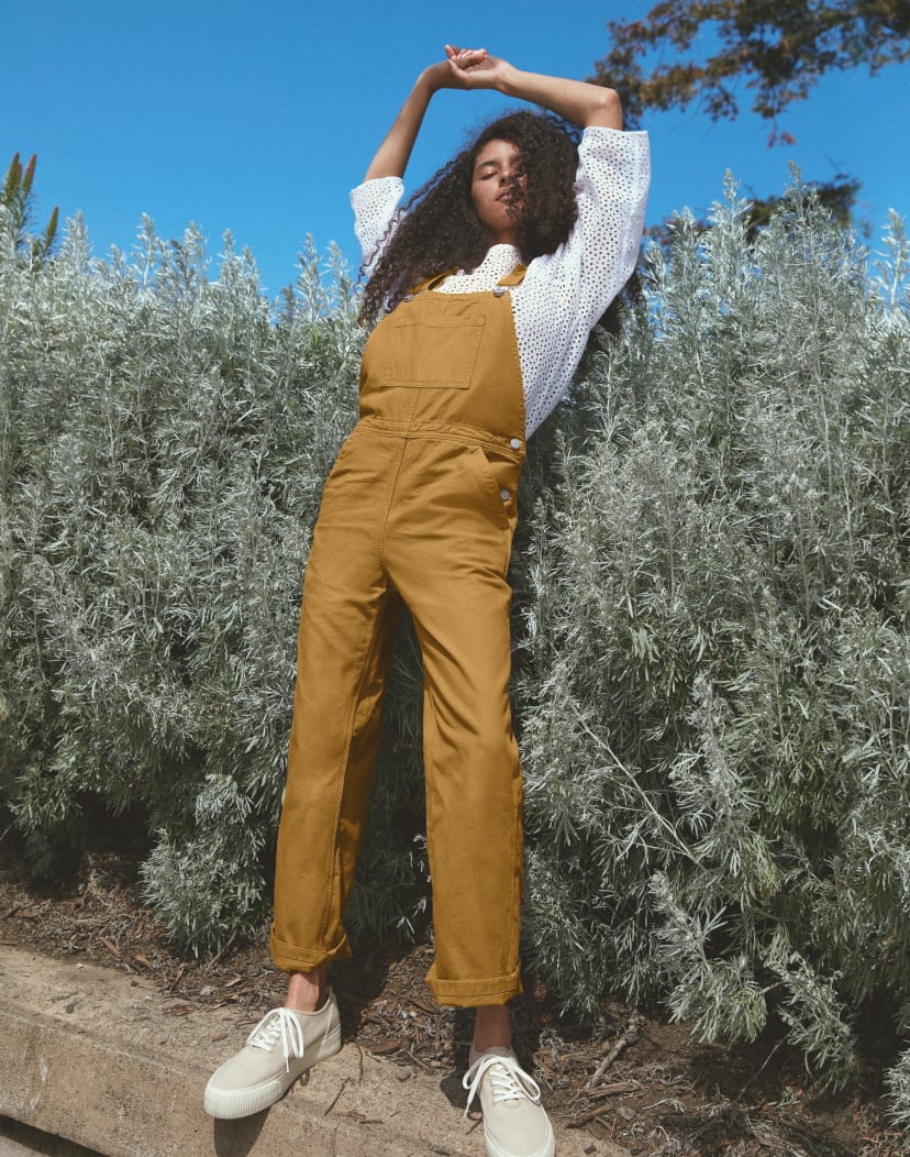 everlane overalls