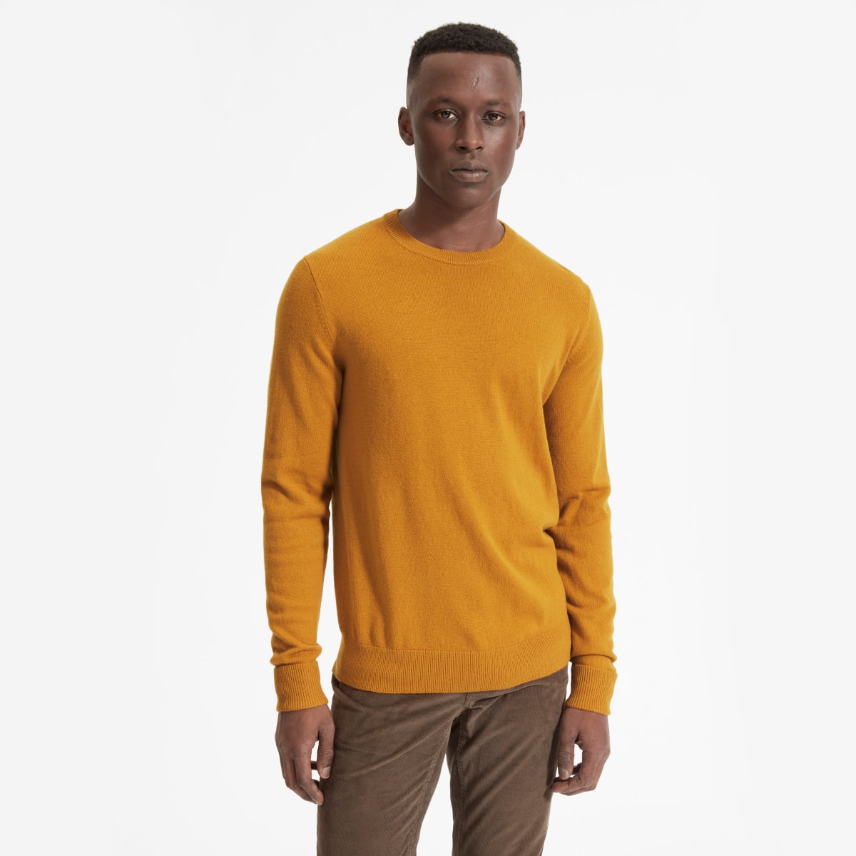 everlane mens cashmere