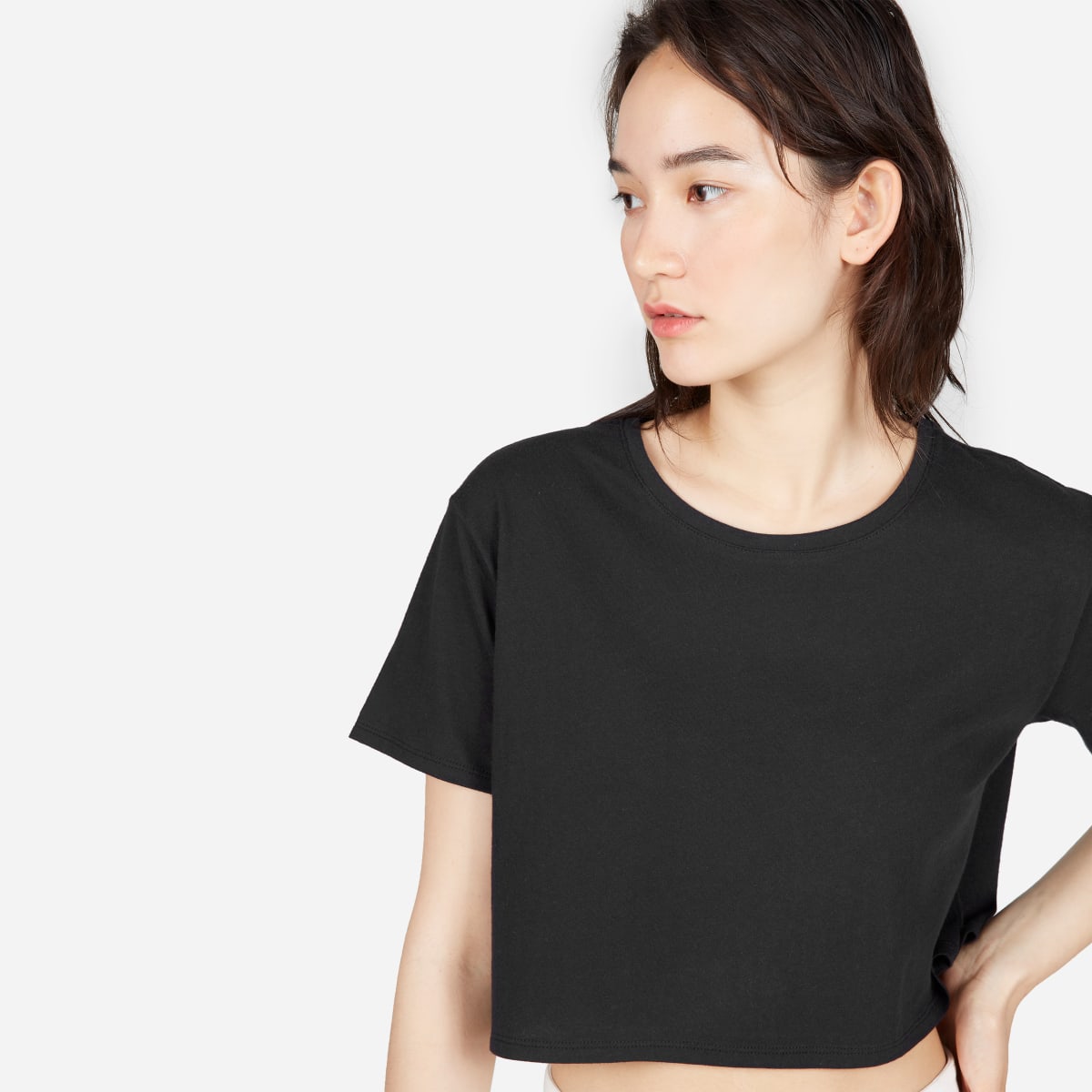 Everlane cropped tee Clearance