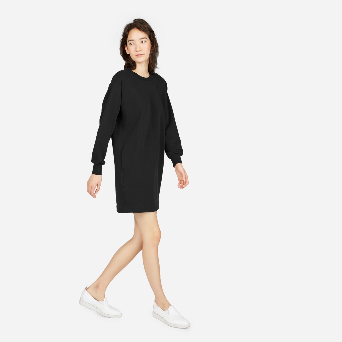 everlane sweatshirt dress