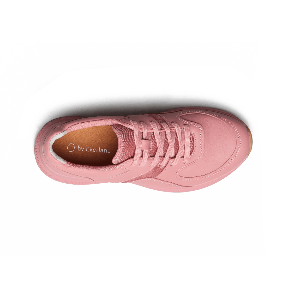 everlane vegan shoes