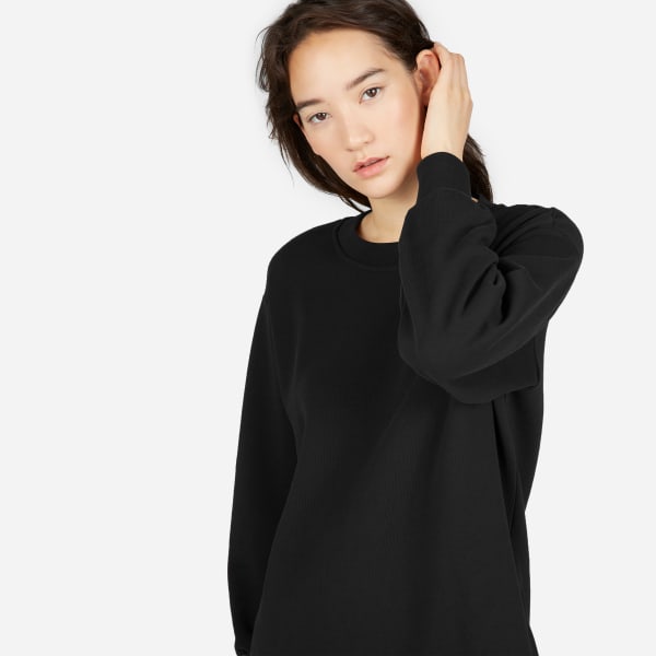 everlane sweatshirt dress