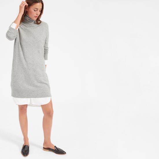 everlane cashmere sweater dress