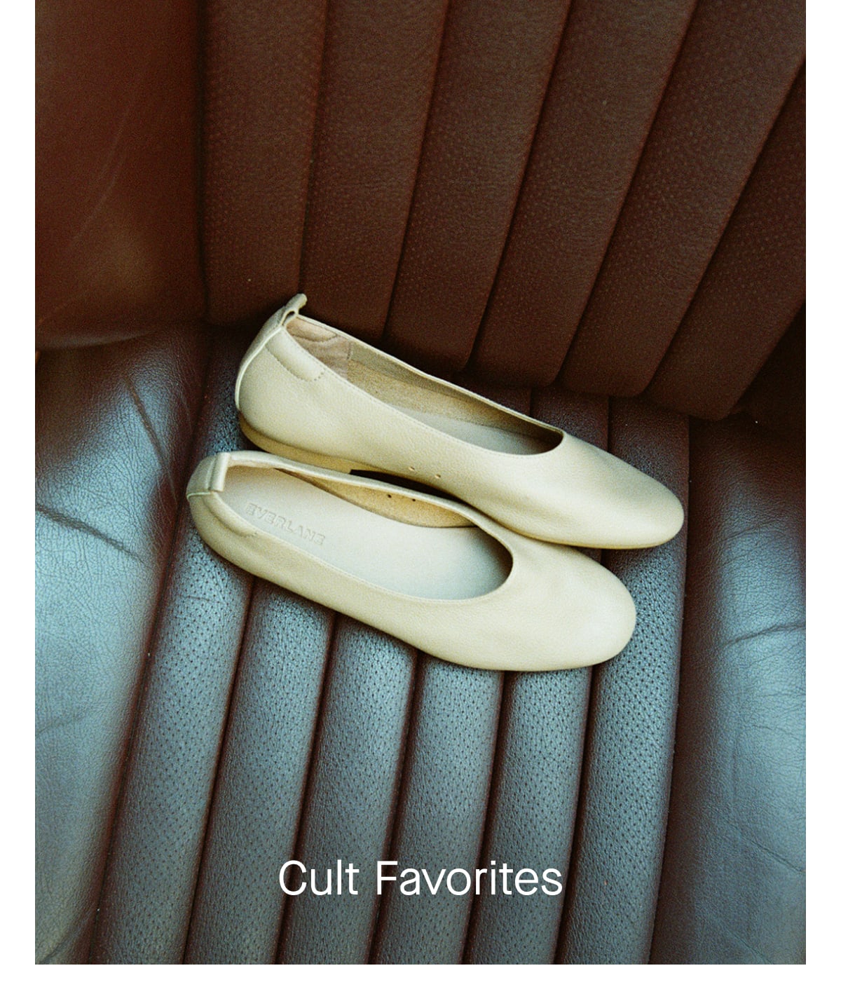 [Image] Cult Favorites