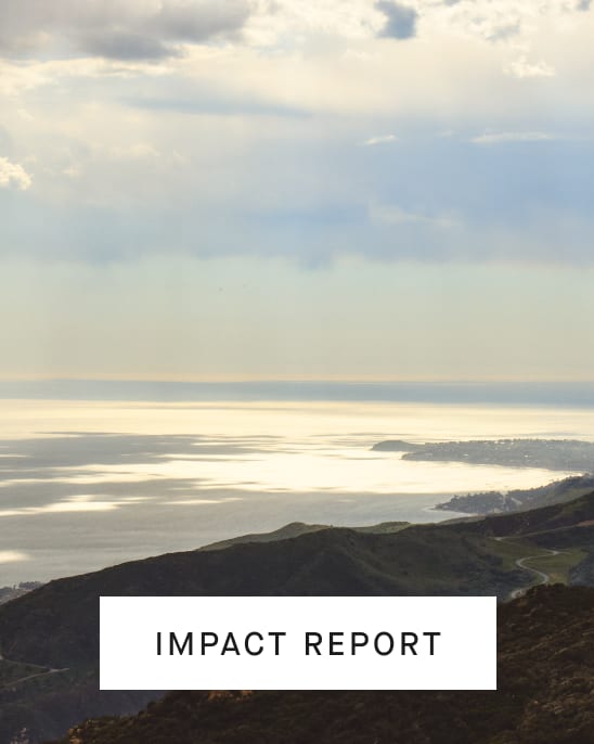 [Image]IMPACT REPORT