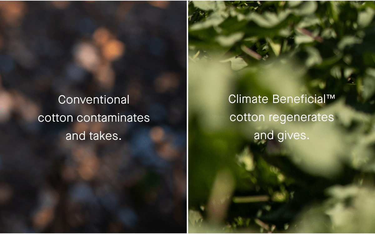 Conventional cotton contaminates and takes.