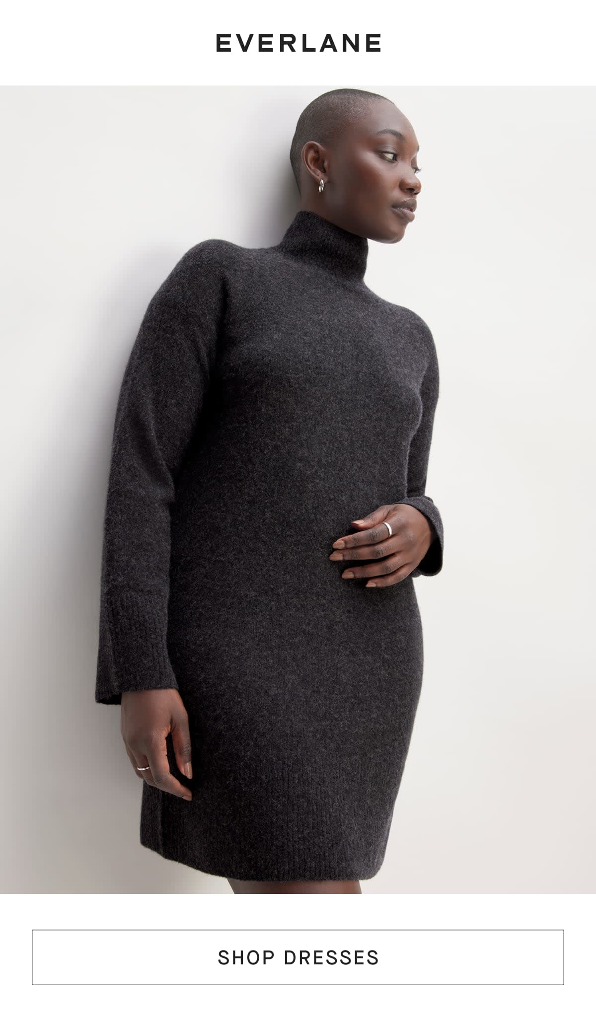 Everlane sweater sale dress
