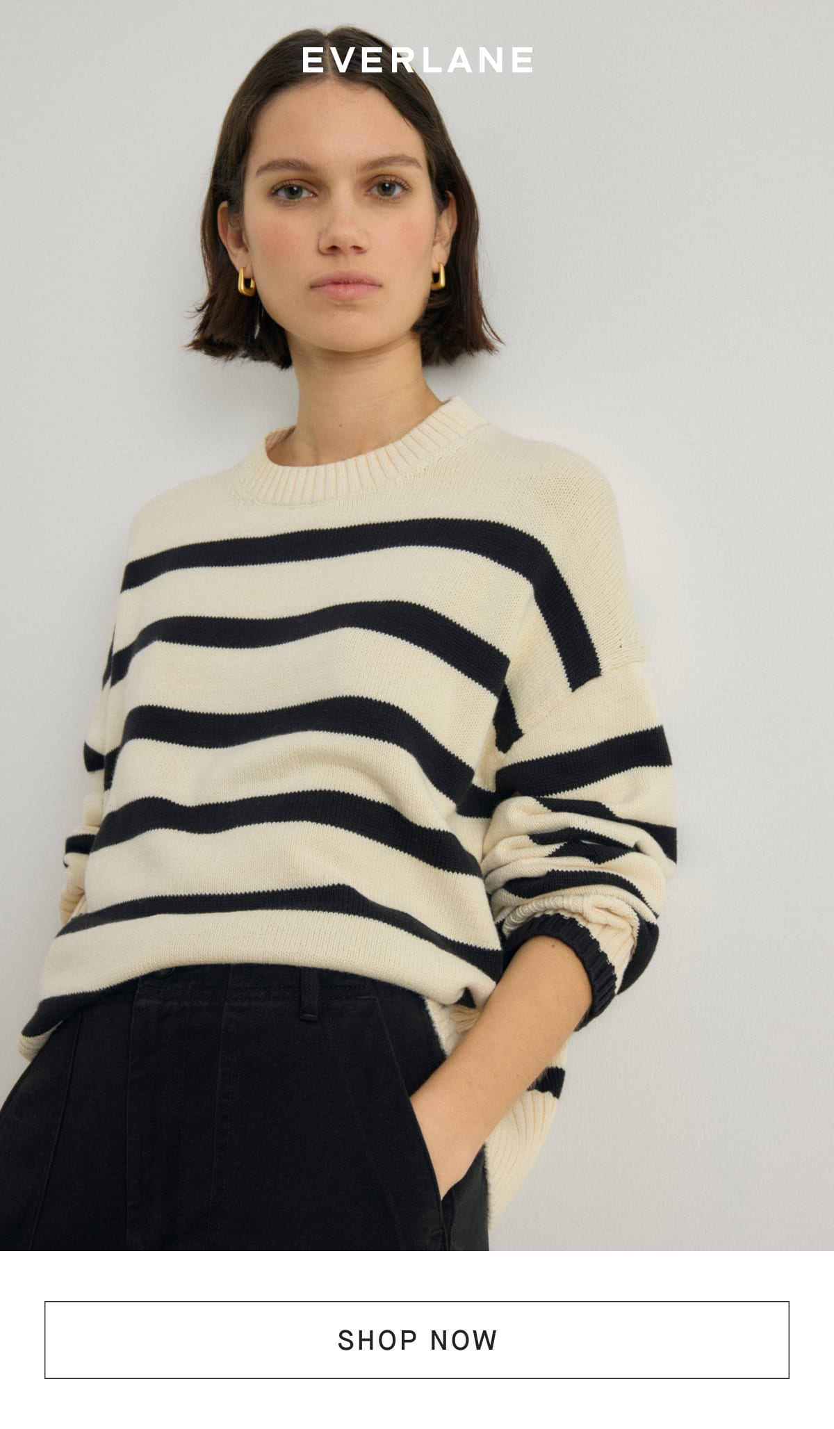 Everlane striped sweater hotsell