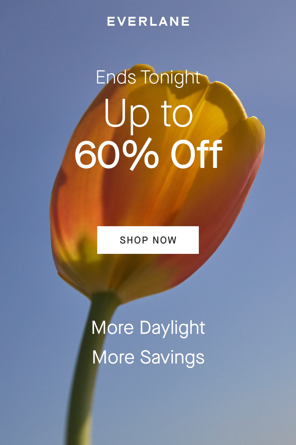 [EVERLANE][IMAGE] Up to 60% Off [SHOP NOW] More Daylight More Savings