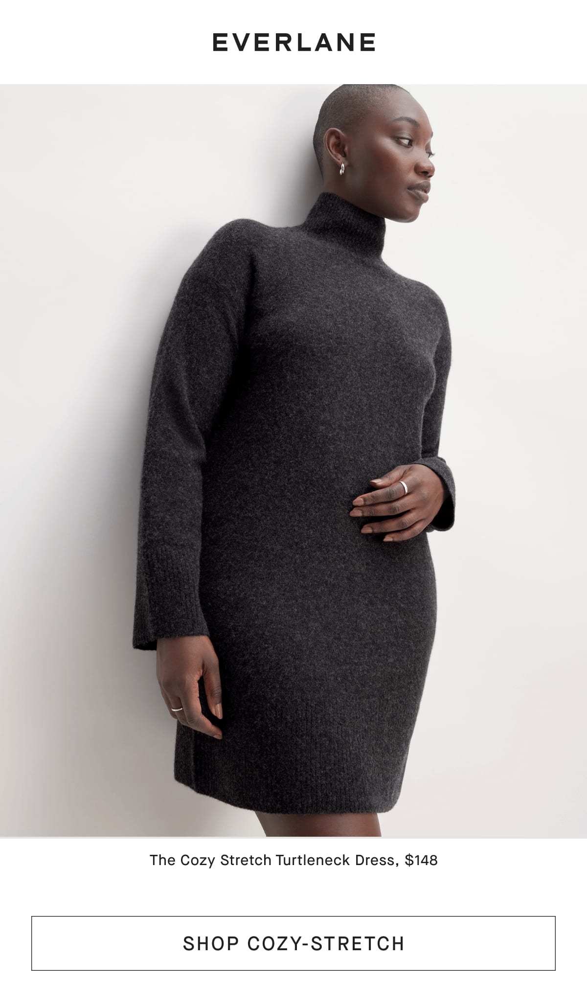 Everlane turtleneck dress online