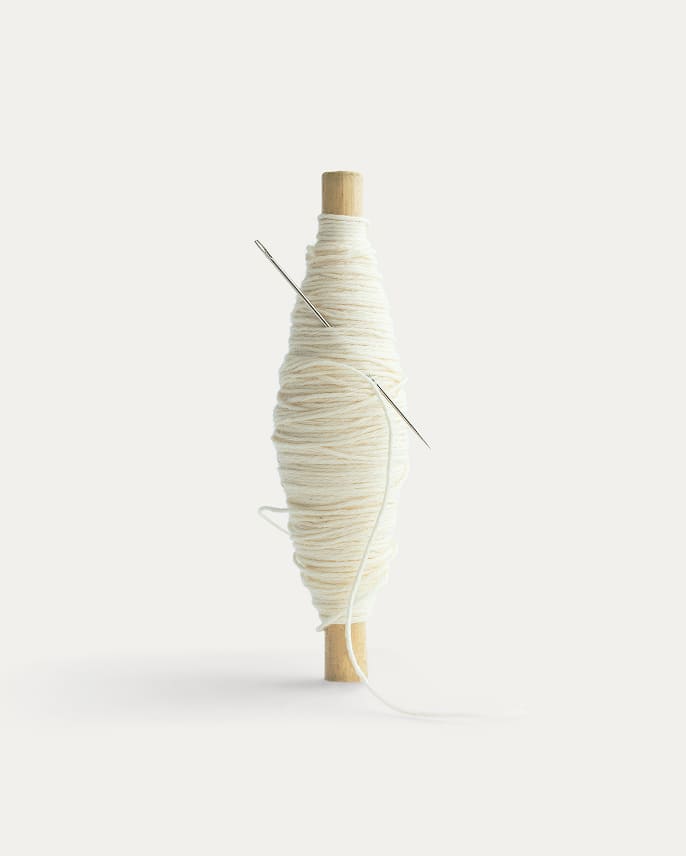 Everlane pic description