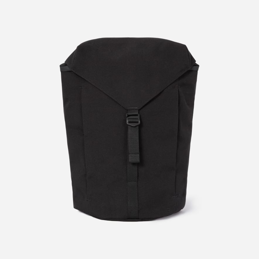 everlane mens belt