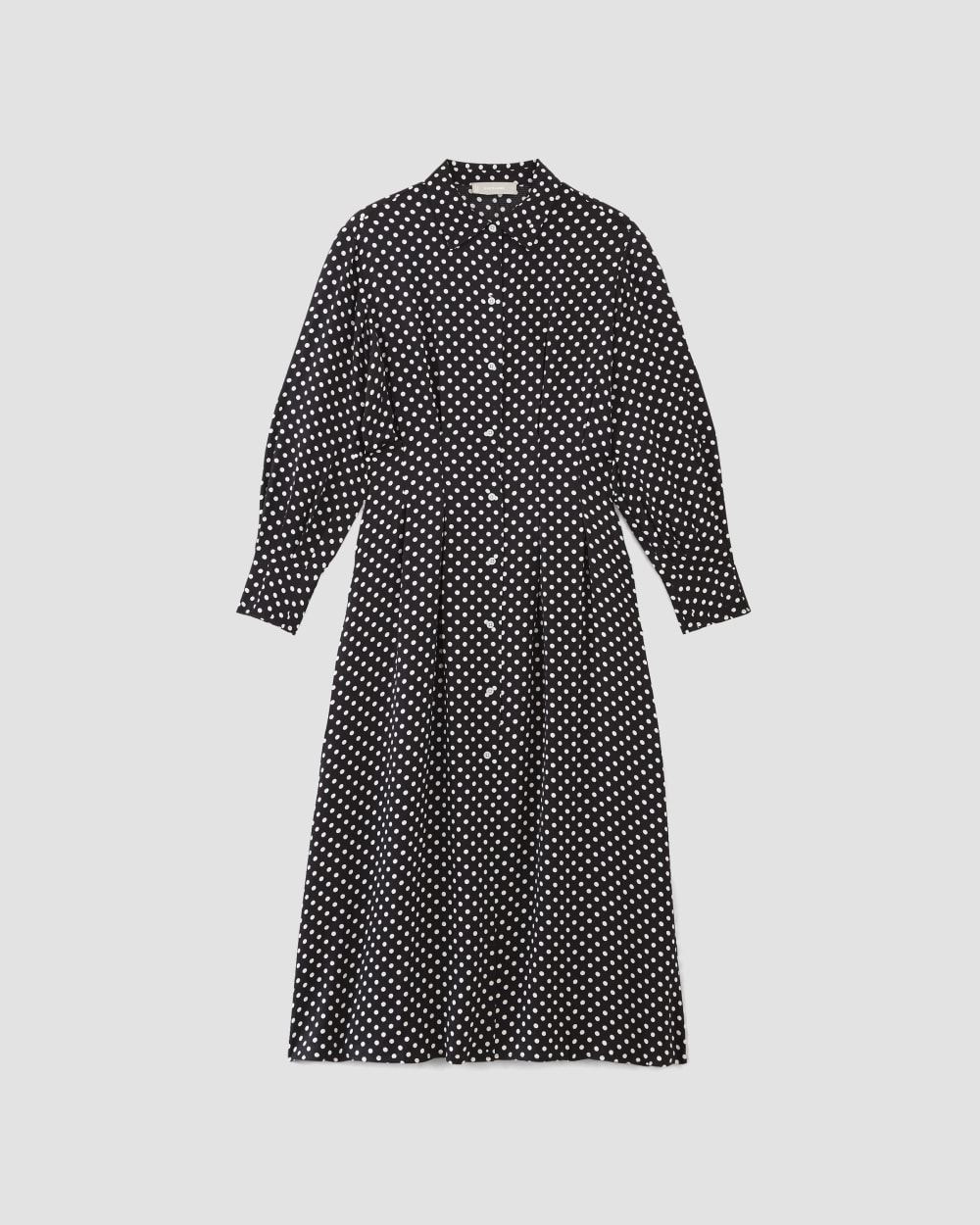 Everlane polka top dot shirt dress