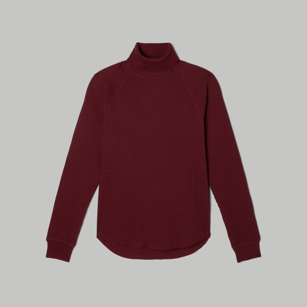 Everlane waffle knit turtleneck 2025